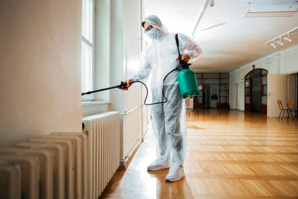 Best Residential Pest Control  in Hampton Manor, NY